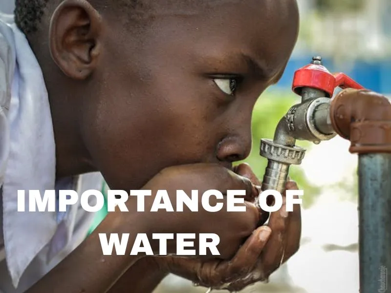 about importance of water