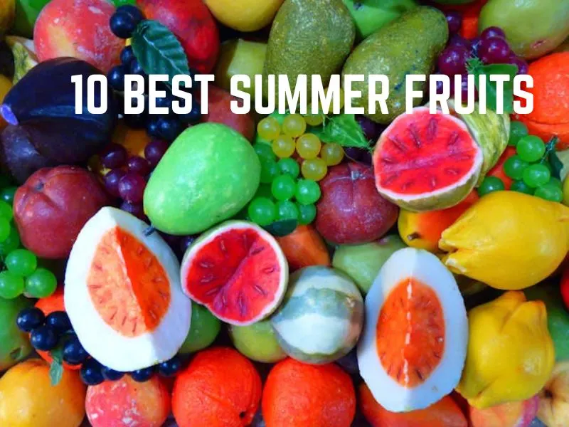 summer season fruits